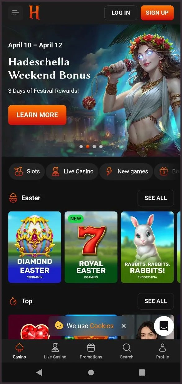 Introduction to online casino hadesbet